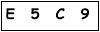 salt-951E5041